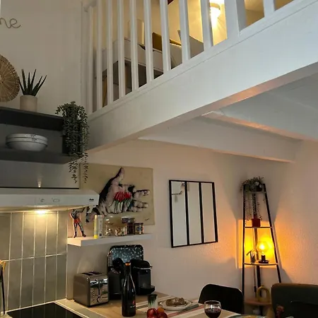Apartman Duplex De La Comedie, Hyper-centre Montpellier